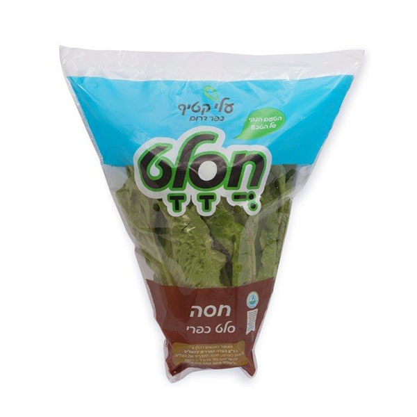 חסה ערבית חסלט